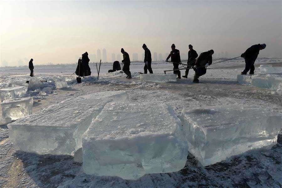 哈爾濱冬(dong)季采冰 采冰工具(ju)